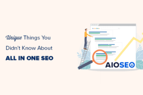 33 Unique Things You Didn’t Know About All in One SEO (Pro Tips)