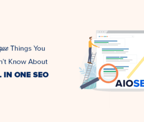 33 Unique Things You Didn’t Know About All in One SEO (Pro Tips)