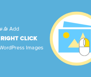 How to Add No Right Click on WordPress Images