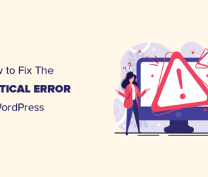 How to Fix The Critical Error in WordPress (Step by Step)