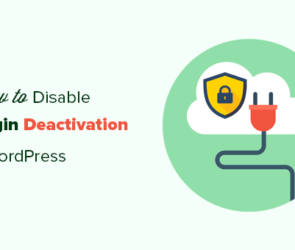 How to Prevent Clients from Deactivating WordPress Plugins