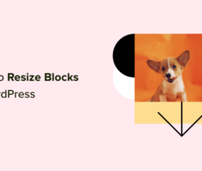 How to Change Block Height and Width in WordPress