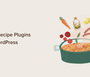 9 Best Recipe Plugins for WordPress (Free and Paid)
