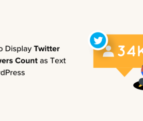 How to Display Twitter Followers Count as Text in WordPress