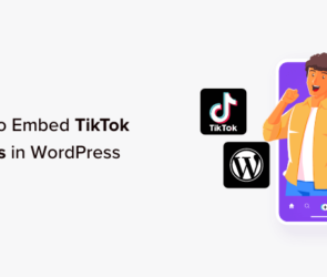 How to Embed TikTok Videos in WordPress (3 Easy Methods)